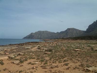 DSCF0113.JPG